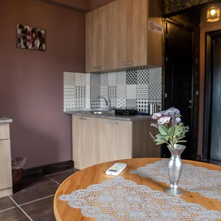 Lunar Meteorites カランバカ