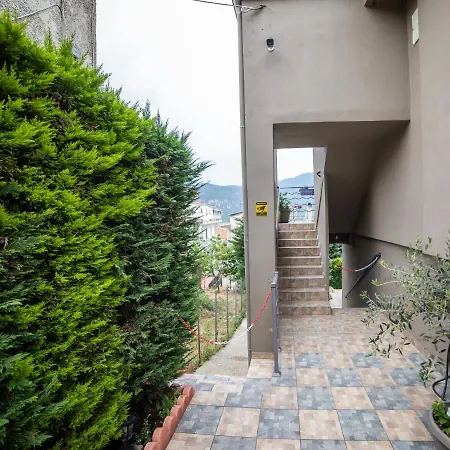 Lunar Meteorites アパート *